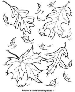 e014f6ad5d46f48264e0f7e990f72caa--fall-coloring-pages-coloring-sheets